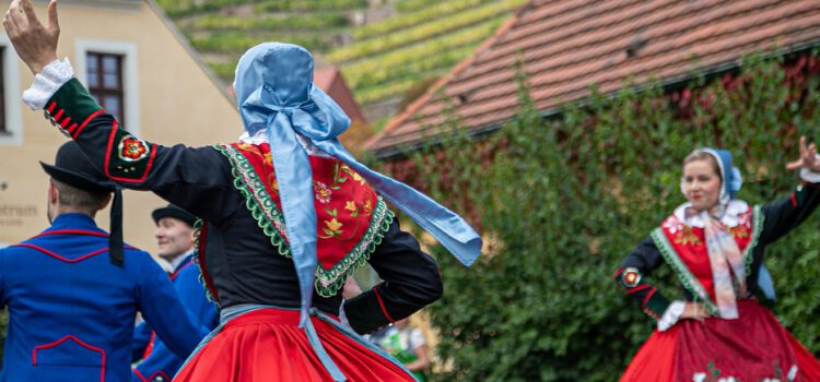 5. Churfürstliches Weinbergfest