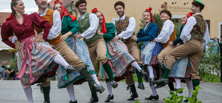 Auftritt beim diesjährigen churfürstlichen Weinbergfest in Hoflößnitz